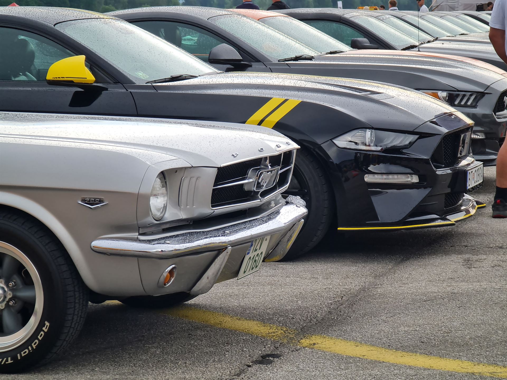 Zraz majiteľov vozidiel Ford Mustang v Žiline, 2024