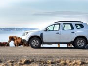 Dacia Duster na ceste na Islande s divo žijúcimi koňmi